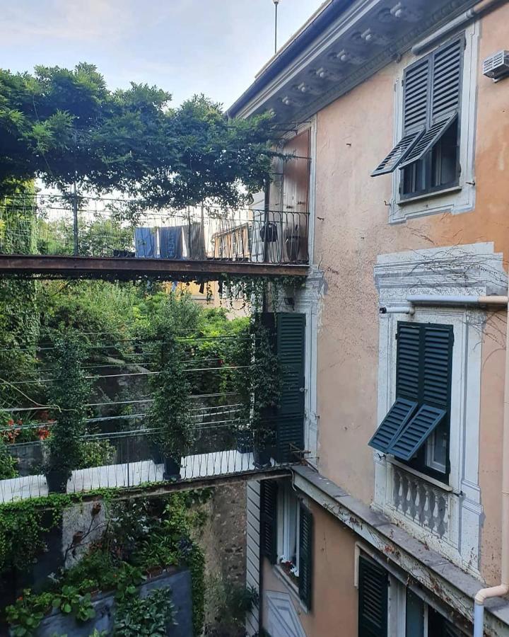 Guest house Leone X *